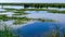 Lake Kugurluy overgrown with aquatic vegetation and white water lily, Ukraine