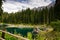 Lake landscape with mountain and forest, Lago di Carezza, Italy