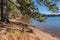 Lake Lanier shoreline in autumn