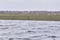 Lake. Large field. Gray colors. Cloudy weather