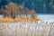 Lake in late fall