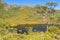 Lake Lilla - Cradle Mountain