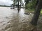 Lake Livingston Flooding Hurricane Harvey