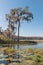 Lake Louisa State Park, near Orlando, Florida. View of Dixie lake