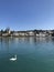 Lake Lucerne, Switzerland Scenic View of a Swan and Hofkirche II