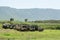 Lake Makat at ngorongoro crater in Tanzania