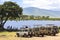 Lake Makat at ngorongoro crater in Tanzania