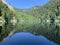 Lake Malaya Ritsa in summer in sunny weather, Abkhazia