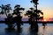 Lake Martin Sunset in Southern Louisiana