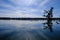 Lake Martin swamp in Breaux Bridge Louisiana