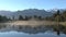 lake matheson in New-Zealand