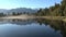 lake matheson in New-Zealand