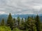 Lake McDonald From Apgar Lookout Trail