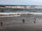 Lake Michigan beach view