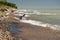 Lake Michigan driftwood being splashed with waves on sunny day