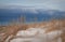 Lake Michigan in winter. Dune grass, snow, sand.