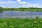 Lake in the middle of meadows with green lush grass on a sunny spring-summer day. Beautiful rural landscape with a pond. Panorama