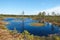 Lake in the middle of the Viru Raba bog in Estonia with two small floating quagmires with a pine growing on one