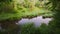 Lake and mountain forest. Calm green park