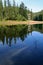 Lake in the mountains. Synevir National Park view. Reflection of trees in the water