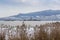 Lake MuÅ¡ov, partially frozen by ice, with dry reeds in the foreground and the PÃ¡lava Mountains in the background. In the middle