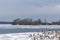 Lake MuÅ¡ov partially frozen by ice in the foreground a dry reed and in the background a promontory of a peninsula with a camp for