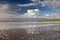 Lake nakuru landscape with many feeding Greater Flamingos, Kenya