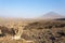 Lake Natron area landscape, Tanzania, Africa. Ol Doinyo Lengai volcano