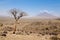 Lake Natron area landscape, Tanzania, Africa. Ol Doinyo Lengai volcano