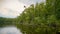 Lake in a nature reserve in the Mueritz National Park