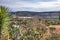 Lake near La Quemada Zacatecas