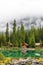 Lake O`Hara at Sargent`s Point in the Canadian Rockies of Yoho National Park