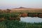 Lake oasis. The reeds and grasslands landscape