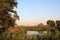 Lake oasis. The reeds and grasslands landscape