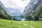Lake Obersee, Sch nau am Konigssee, Bavaria, Germany. Great alpine scenery with cows in National Park Berchtesgaden.
