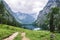 Lake Obersee, Sch nau am Konigssee, Bavaria, Germany. Great alpine scenery with cows in National Park Berchtesgaden.