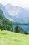 Lake Obersee, Sch nau am Konigssee, Bavaria, Germany. Great alpine scenery with cows in National Park Berchtesgaden.