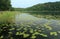 Lake Obst on Masurien region in Poland