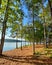 Lake Oconee Georgia trees