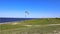 Lake Okeechobee shoreline