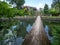 Lake at Oshino Hakkai village, Japan