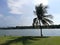 Lake panoramic viewing with coconut tree. Nature and environmental concepts