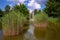 Lake in a park in Beilngries