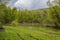 Lake Parz in Dilijan, Tavush Armenia