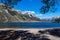 Lake Pearson / Moana Rua Wildlife Refuge located in Craigieburn Forest Park in Canterbury region, South Island of New Zealand