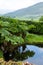 Lake at the picturesque Bolfracks garden on the Bolfracks Estate near Aberfeldy, Perthshire, Highlands of Scotland, UK.