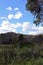 Lake Pillans Wetlands at Lithgow, Australia