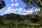 Lake Pillans Wetlands at Lithgow, Australia