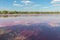 lake with pink water, nature anomaly in Russia in the Samara region