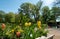 The lake at Pinner Memorial Park, Pinner, Middlesex, UK, photographed on a sunny spring day with tulips in foreground.